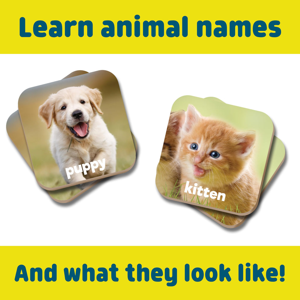 Chuckle & Roar Baby Animals Memory Matching Game, CR Matching, 3+, 52 Cards