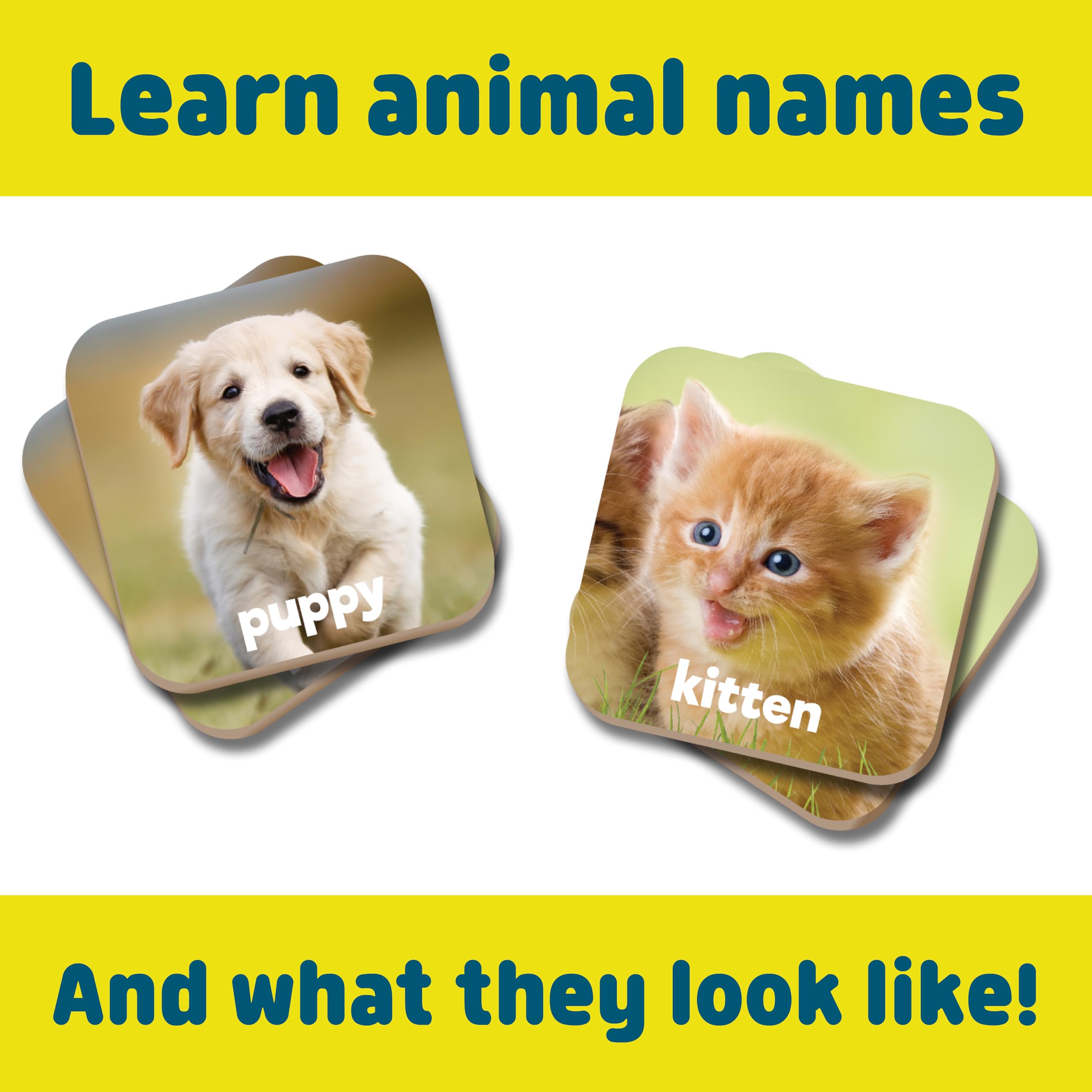 Chuckle & Roar Baby Animals Memory Matching Game, CR Matching, 3+, 52 Cards