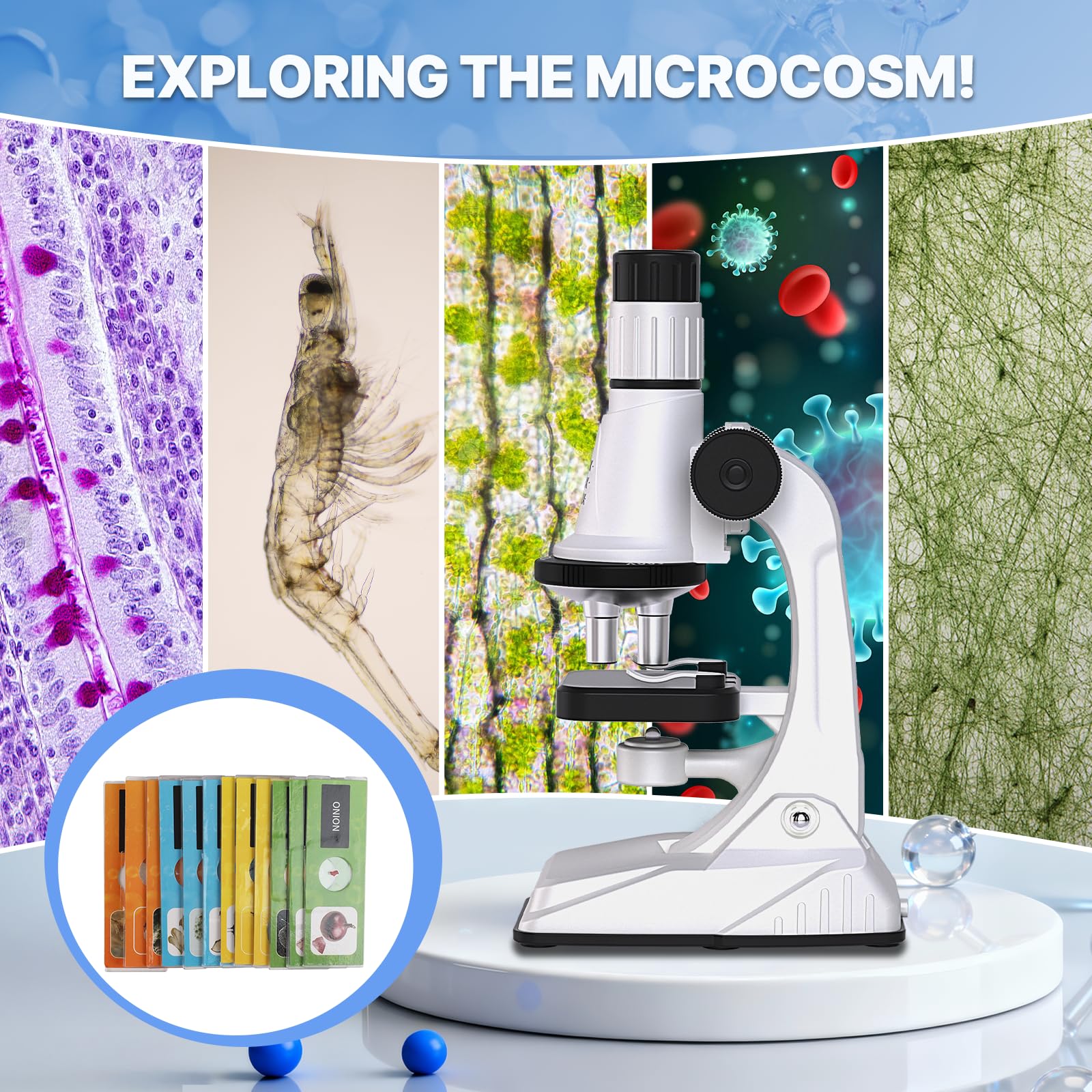 Kids Microscope Kit, 100X-1200X Magnification with LED Light | Durable Metal Body, Slides & Carrying Box | STEM Biology Science Kit, Educational Gift for Children Ages 6-12